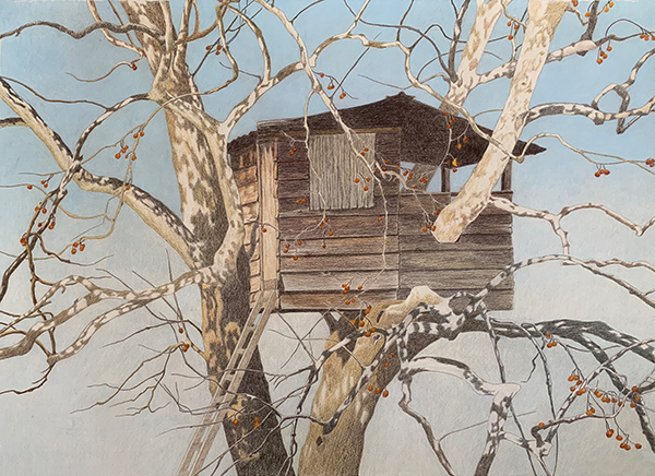 "Treehouse and Sycamore" by Linda Williams Palmer (c) - 24"h x 30"w - Prismacolor pencil on paper