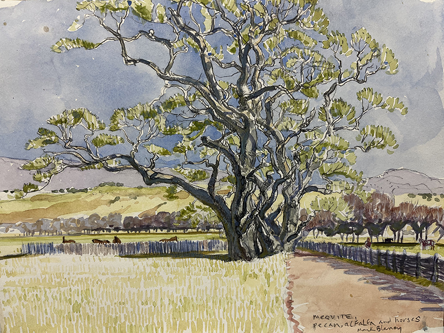 "Mesquite Pecan Ranch" by Mark Blaney (c) - watercolor on paper original painting