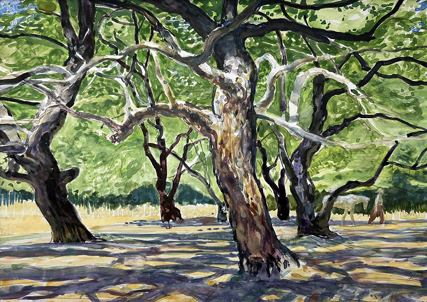 "Mesquite Grove" by Mark Blaney (c) - watercolor on paper original painting