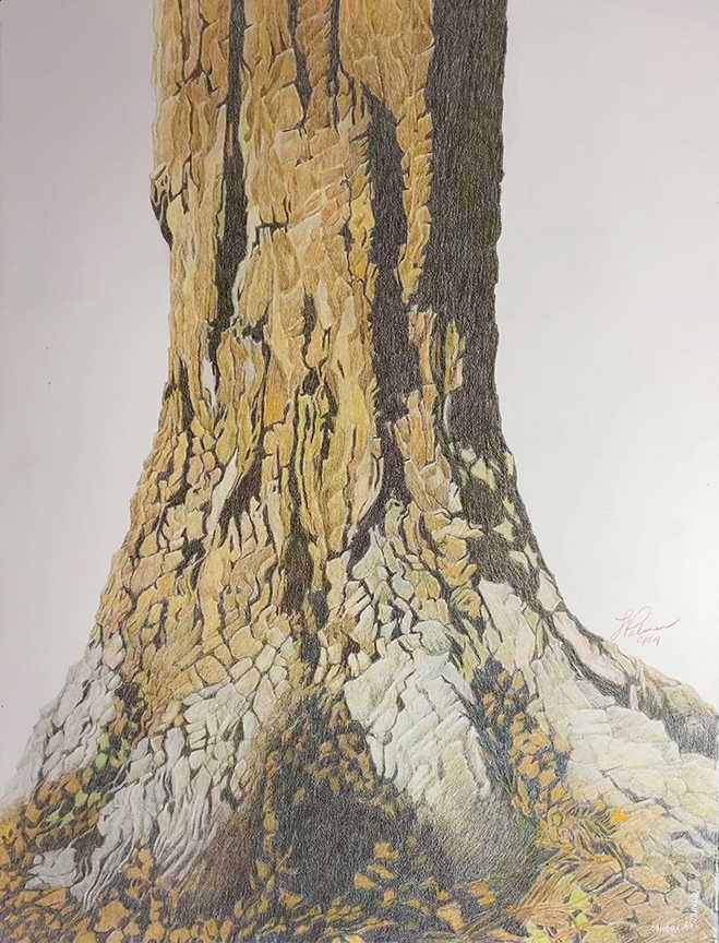 "Strength" by Linda Williams Palmer (c) - 30"h x 22.5"w - Prismacolor pencil on paper