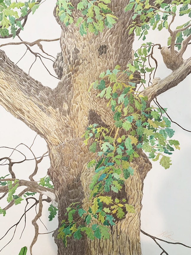 "Shelter" by Linda Williams Palmer (c) - 30"h x22.5"w - Prismacolor pencil on paper