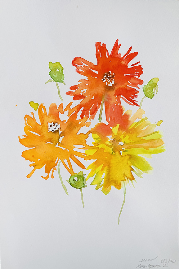 "Mom's 3 Cosmos" by Emily Wood (c) - 11"h x 7.5"w - watercolor on paper