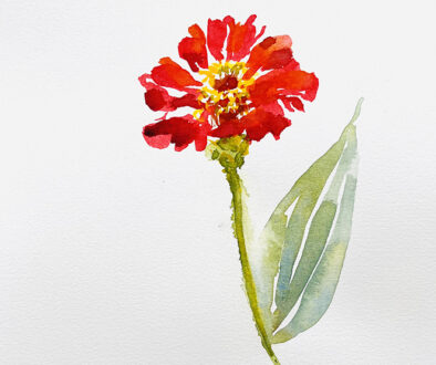 "Red Zinnia" by Emily Wood (c) - 14"h x 11"w - watercolor on paper
