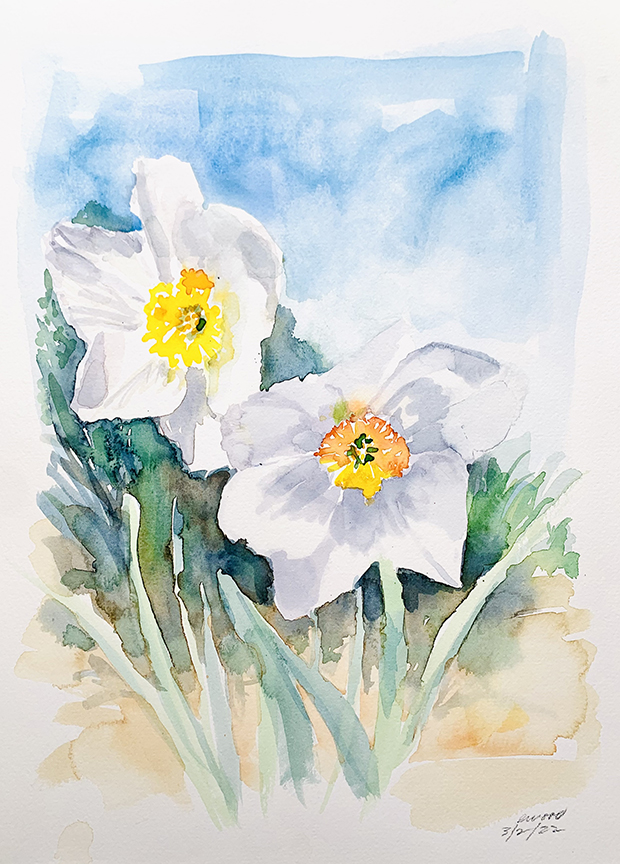 "Two White Daffodils" by Emily Wood (c) - 16"h x 12"w - watercolor on paper