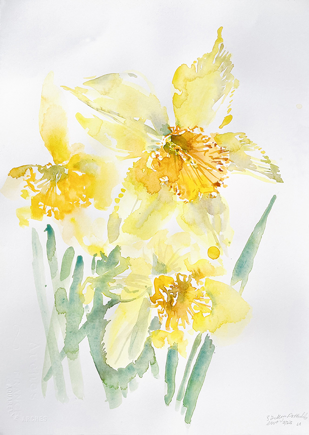 "Three Yellow Daffodils" by Emily Wood (c) - 18"h x 14"w - watercolor on paper