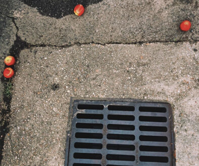 "Morning stroll surprise in asphalt, apples, and wondering if the 5 second rule starts from when you see someone else's food on the ground." by Carey Roberson (c) - 7"h x 7"w - archival pigment print on cotton rag paper