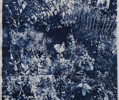 "My Garden" by Beverly Buys (c) - 11.5"h x 11.5"w - cyanotype