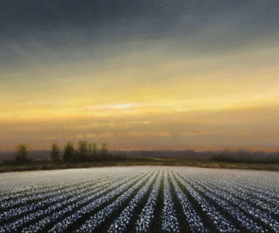 "Cotton Sunrise" by Matthew Hasty (c) - 30"h x 60"w - oil on canvas