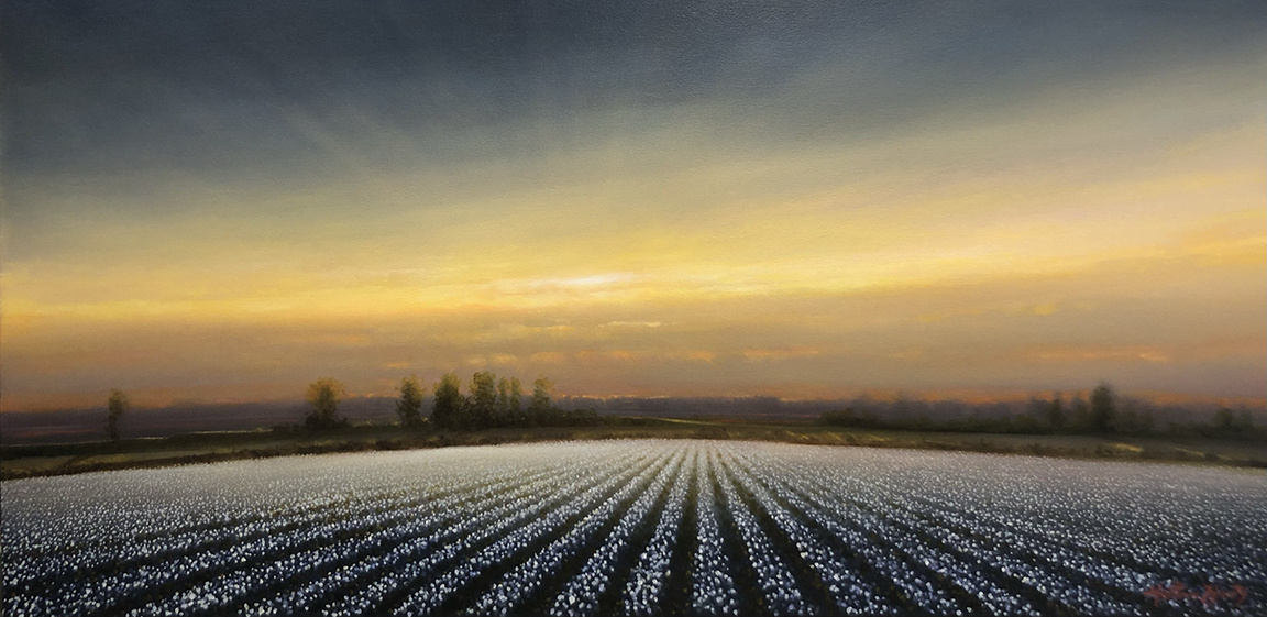 "Cotton Sunrise" by Matthew Hasty (c) - 30"h x 60"w - oil on canvas