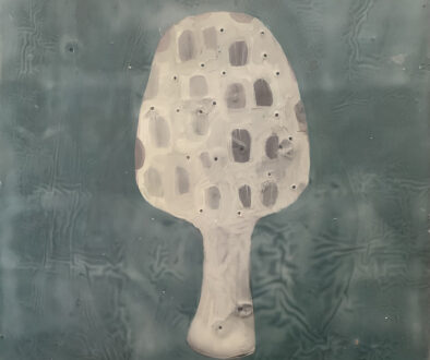 "Morel" by Jeni Stallings (c) - 10"h x 10"w - oil and encaustic on board