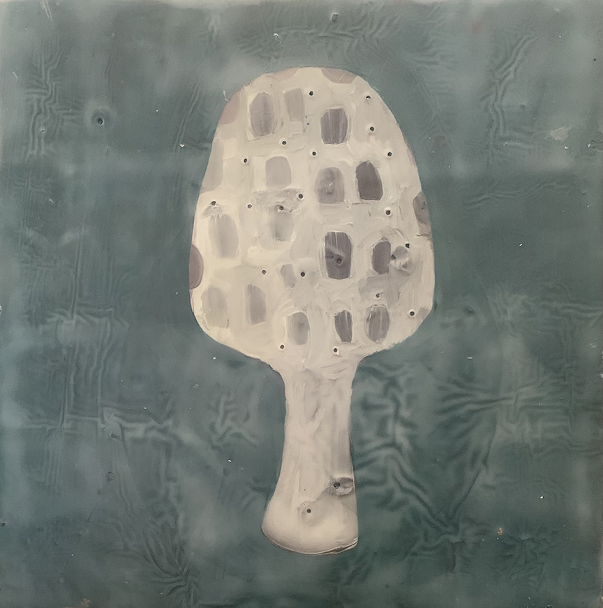 "Morel" by Jeni Stallings (c) - 10"h x 10"w - oil and encaustic on board