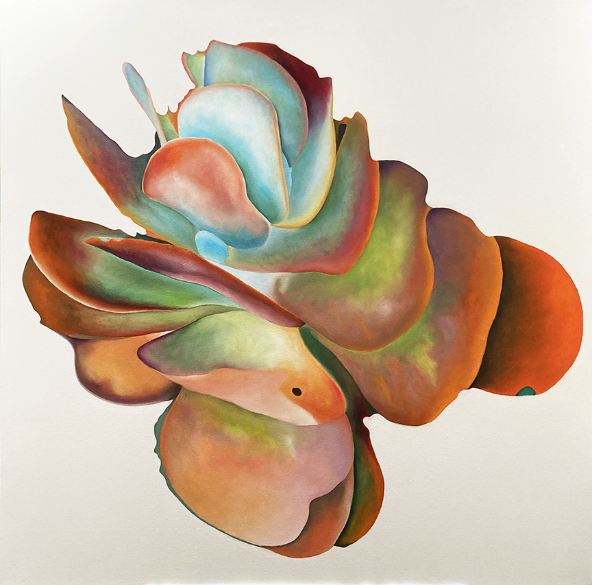 "Fiery Red Succulent" by Peter Sixbey (c) - 48"h x 48"w - oil on canvas