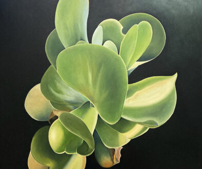"Green on Black Succulent" by Peter Sixbey (c) - 36"h x 36"w - oil on canvas