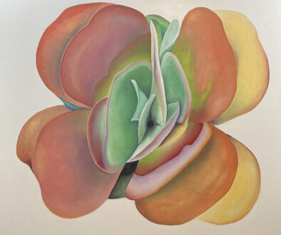 "Orange Green Succulent" by Peter Sixbey (c) - 48"h x 48"w - oil on canvas