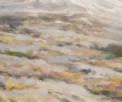 LowCloudsAbovetheTreelinedoloresjustusreuther11.5hx8woilonpapersmweb