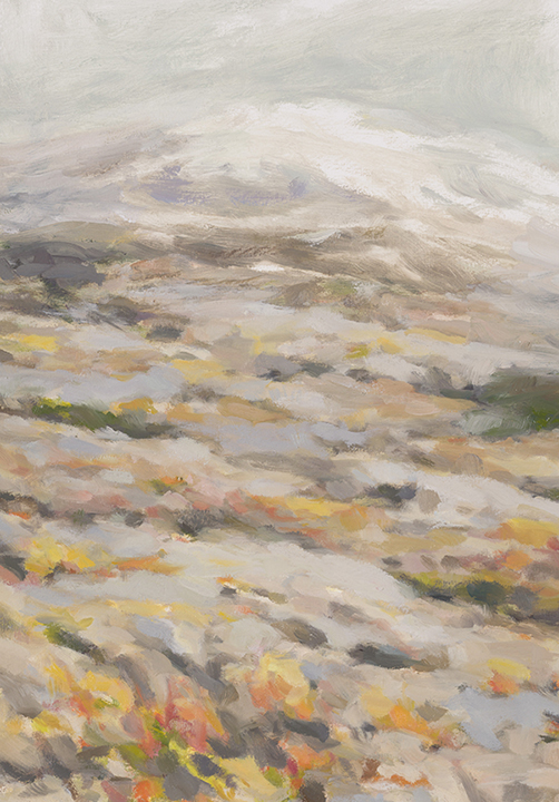 LowCloudsAbovetheTreelinedoloresjustusreuther11.5hx8woilonpapersmweb