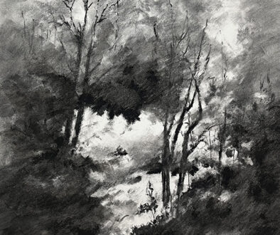 "Faerie Land" by Gary Simmons (c) - 22"h x 16"w - charcoal on paper