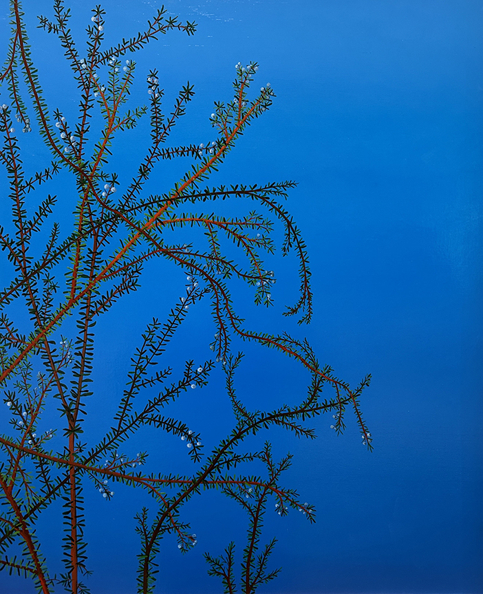 "Q07 - Azure" by Steven Wise (c) - 24"H x 20"w - oil on panel