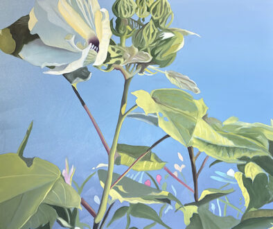 "Hibiscus and Pods" by Peter Sixbey (c) - 36"h x 36"w - oil on canvas