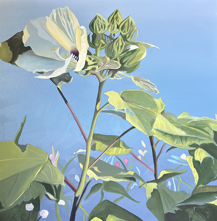 "Hibiscus and Pods" by Peter Sixbey (c) - 36"h x 36"w - oil on canvas