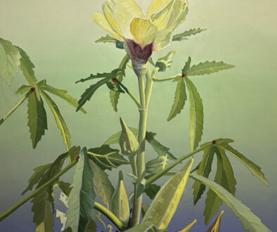 "Okra on Green" by Peter Sixbey (c) - 36"h x 36"w - oil on canvas