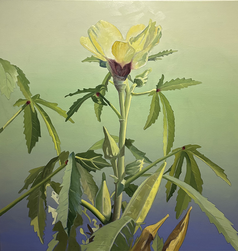 "Okra on Green" by Peter Sixbey (c) - 36"h x 36"w - oil on canvas